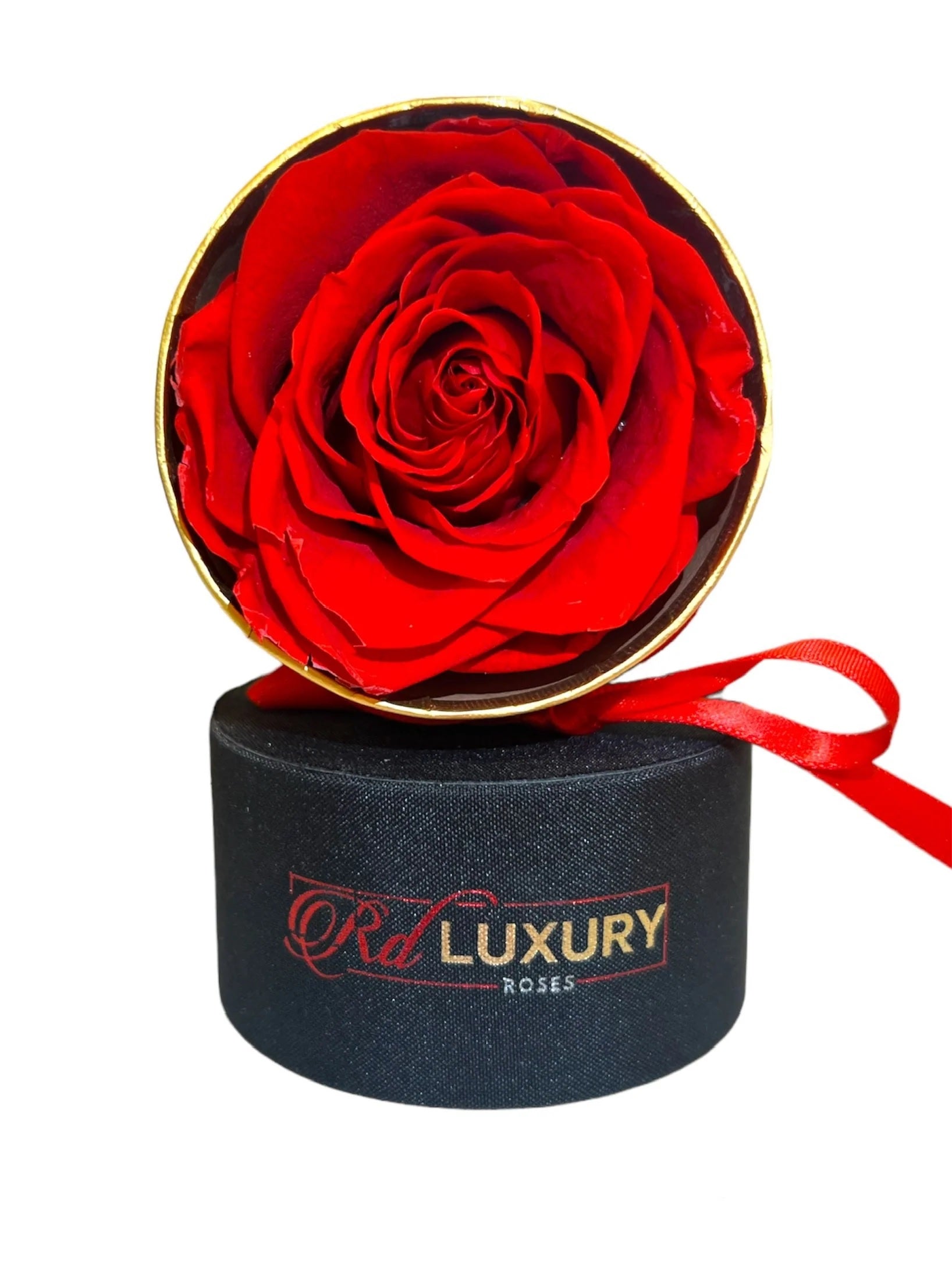 Small Red Luxury Rose